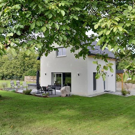 Gite Les Bouleaux Carspach Exterior photo